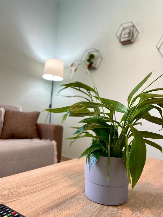 The Breeze & Sunlight Apartment Врасна Екстер'єр фото